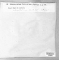 Calicium abietinum image